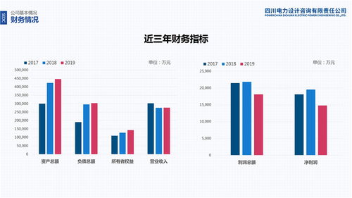 四川電力設計咨詢有限責任公司混合所有制改革與租賃交易咨詢擔保服務解析